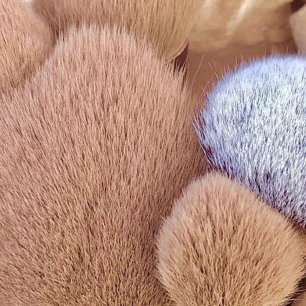 13 PCS Makeup Brushes Set Eye Shadow Foundation Women Cosmetic Brush Eyeshadow Blush Beauty Soft Make Up Tools Bag - Homevera