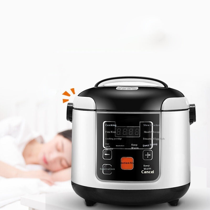 Vehicle-mounted Rice Cooker 12V24V Volt With Small Car And Large Truck - Homevera